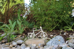 星空综合体育-球队伤病恢复情况追踪，球员伤病情况