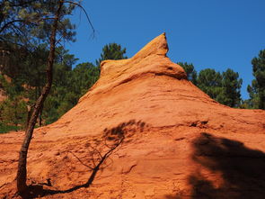 星空体育中国-一日英超动态阿莫林自信发声转会话题升温，阿莫子林
